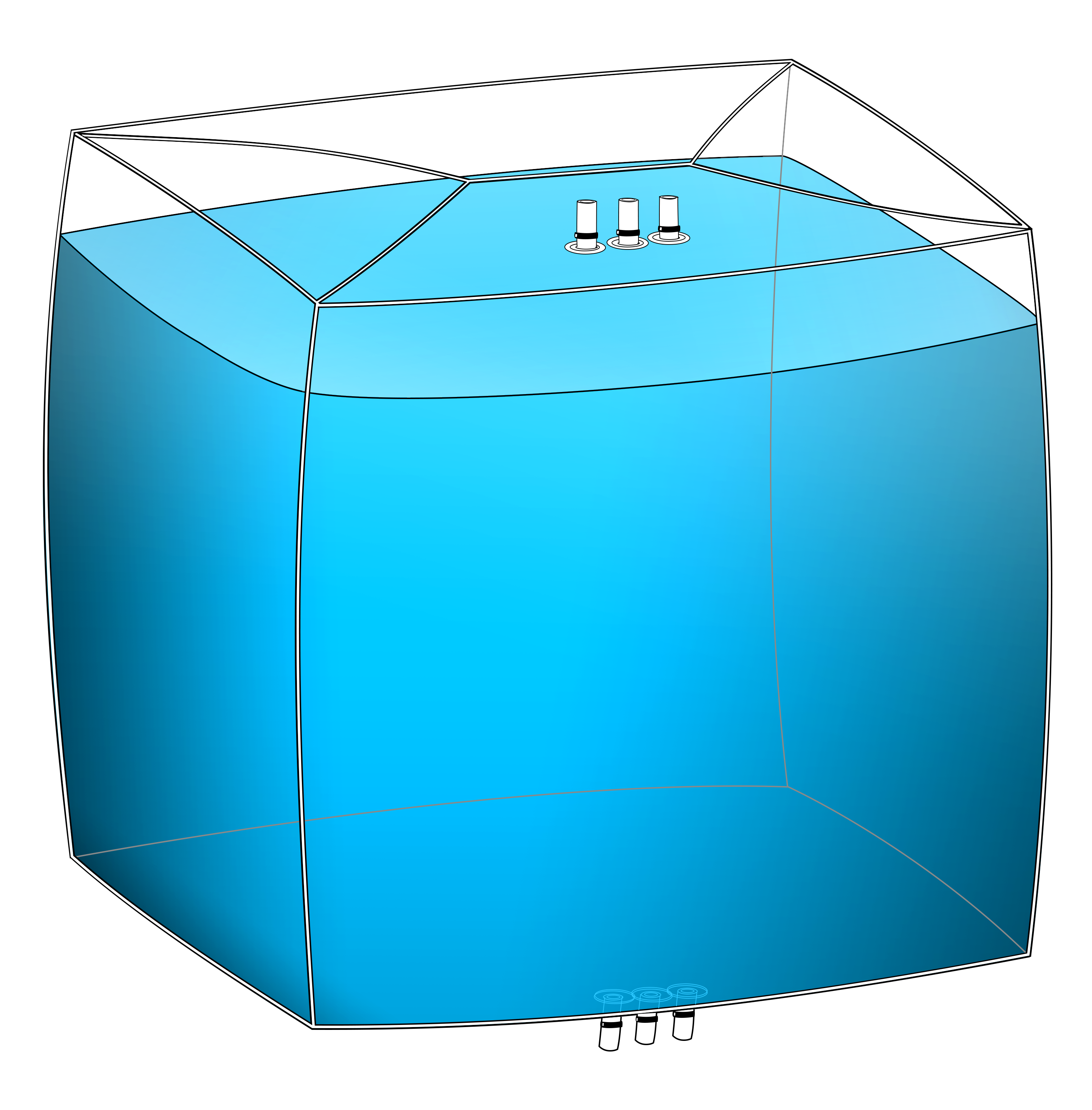 1000 liter 3D bioprocessing bag with three top ports and three bottom ports, an example of the customization capabilities of ProConnex 3D bags.